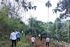 Relokasi Puskesmas Masmambang, Dimulai