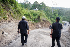  Tinjau Jalan Longsor di Lebong, Wagub Sebut Segera DIbangun   