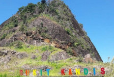 Bukit Kandis, Pesona Alam dari Ketinggian