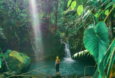 Wisata Napal Jungur, Keindahan Alam Tersembunyi di Seluma