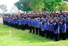 PPPK Paruh Waktu Seluma, Mulai Tandatangani Surat Perjanjian Kerja