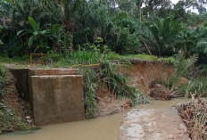 Jembatan Sungai Mertam Hanyut, Petani Terkendala Angkut Hasil Pertanian