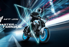 Yamaha MT-25 2025 – Naked Streetfighter 250 cc dengan Teknologi Canggih dan Desain 