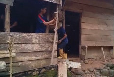 Rumah Khaira Ditargetkan Rampung dalam Dua Minggu, Pemkab Seluma Bergerak Cepat Tangani RTLH