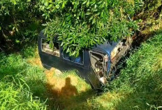 Gagal Menyalip Truk, Minibus Terjun ke Jurang di Padang Pelasan Seluma