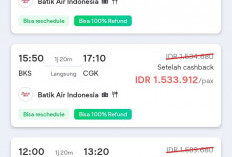 Sabtu dan Minggu Penerbangan Bengkulu-Jakarta Full, Senin Terendah 1,4 Juta