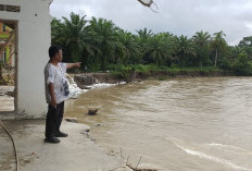 Sungai Talo Terancam Abrasi, Warga Usulkan Pembangunan Penahan 