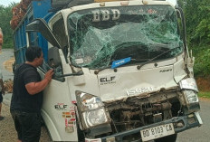   Hindari Jalan Berlubang, Dua Truk Sawit Tabrakan di Seluma, Sopir Sempat Terjepit