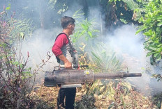 13 Kasus DBD di Talo Kecil, Puskesmas Lakukan Fogging