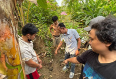 Sopir Travel yang Buron Sejak 2023 Dibekuk, Polisi Temukan 7 Handphone Dikubur di Kebun Sawit