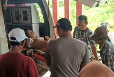 Kecelakaan Kerja di Pabrik Batu Bata, Siswa SMP di Seluma Kehilangan Tangan Kanan 