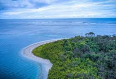 Pulau Enggano Surga Tersembunyi di Ujung Barat Indonesia