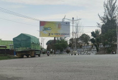 APK Istri Gubernur Bengkulu Kangkangi Aturan!