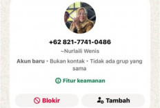    Nama Direktur RSUD Tais Dicatut, Marbot Mushola Rugi Rp 600 Ribu