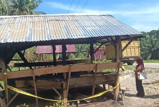 Dua Pondok Antrean DO Sawit di Desa Sendawar Seluma  Terbakar, Polisi Selidiki   Unsur Kesengajaan