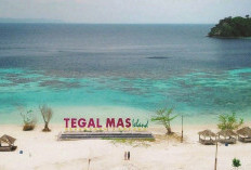 Pulau Sikuai: Surga Tersembunyi di Padang dengan Pesona Alam yang Memikat