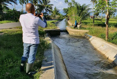 Bupati Ajak Mayarakat Normalisasi Irigasi Air Nipis Seginim