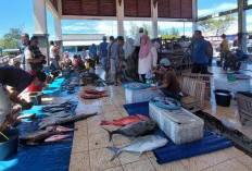 Nelayan Pasar Bawah, Keluhkan Angin Laut, Tangkapan Sepi