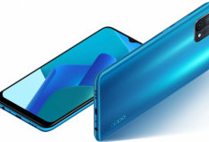 Oppo Merk Hp Paling Populer di Indonesia Karena Terjangkau