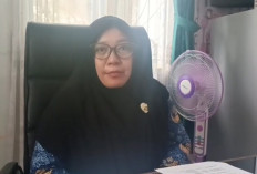 Dua Unit Chest Freezer, Bakal Disalurkan ke Dua Kelompok Nelayan Seluma