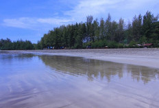 Pantai Air Manis, Manna