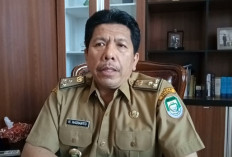 SK PPPK Sedang Proses Verifikasi Berkas