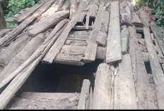   Jembatan Penghubung Arang Sapat–Cawang Lubuk Sandi Memprihatinkan, Warga Harapkan Perhatian Pemkab Seluma