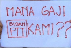 Janji Tinggal Janji, Sudah akhir Tahun lagi, Bidan PTT Seluma Belum Kunjung Terima Tunggakan Gaji 3 Bulan 2024