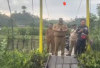  Viral, Bupati BS Sidak Jembatan Batu Ampar   