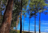 Pantai Pandan Wangi Mukomuko, Pesona Tersembunyi di Pesisir Bengkulu