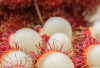 Rambutan Makanan Lezat Baik Untuk Kesehatan