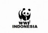 Kemenko Pangan dan WWF-Indonesia Berkolaborasi, Dorong Transformasi Sawit untuk Kemandirian Pangan