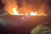 Lahan Kosong di Depan Dinas Perikanan Terbakar, Warga Panik, Pemkab Imbau Waspada di Tengah Cuaca Panas