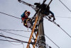 PLN Seluma Terus Perbaikan, Lampu Tetap Sering Mati dan Tegangan Rendah